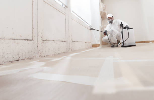 24/7 Emergency Mold Remediation experts in Luke, MD